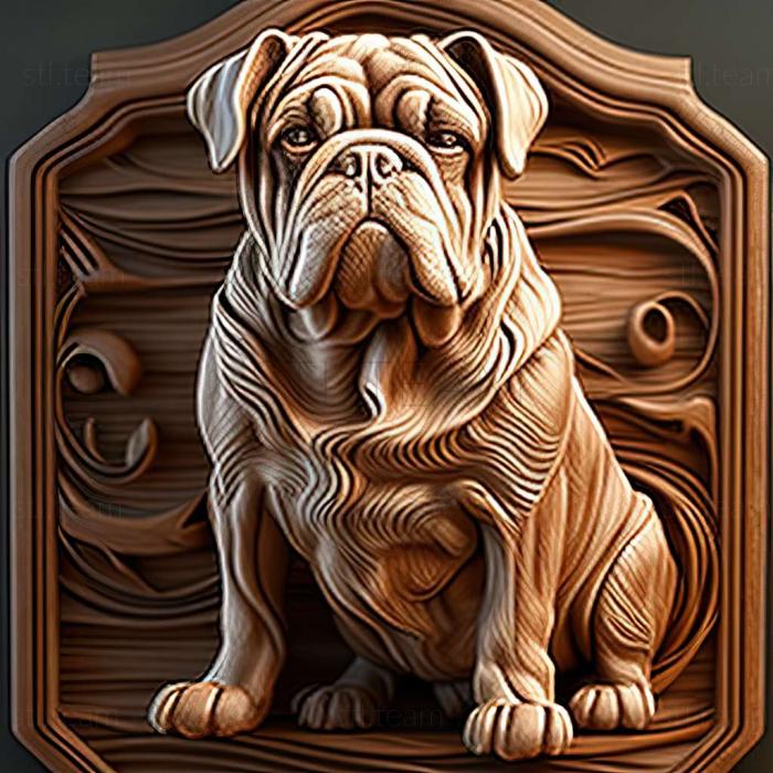 3D model Bulldog campeiro dog (STL)